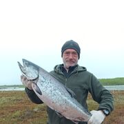  -,   , 58 ,   ,   , c , 