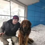 ���������� �������, ���� ������� �����, 36 ���, ������������ ��� ������, ����� � ���������