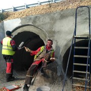 ���������� ������, ���� ������� ������, 48 ���, ������������ ��� ����� � ���������, c�������� ���������