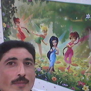 ���������� ����, ���� ������� ��������, 48 ���, ������������ ��� ������, ����� � ���������, c�������� ���������, ���������