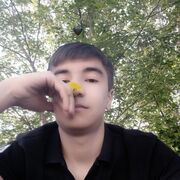 ���������� �����������, ���� ����� �����, 20 ���, ������������ ��� ������, ����� � ���������, c�������� ���������