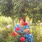  ,   Marina, 54 ,   