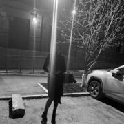 ���������� ������, ���� ������� ���������, 22 ����, ������������ ��� ���������