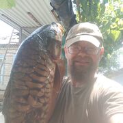  -,   , 51 ,   ,   , c 