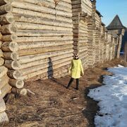 ���������� ������, ���� ������� ����, 49 ���, ������������ ��� ���������