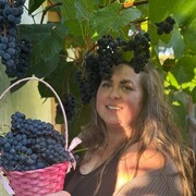  ,   , 33 ,  