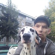 ���������� �������, ���� ������� ��������, 44 ����, ������������ 