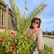 ���������� ����������, ���� ������� �������, 58 ���, ������������ ��� ����� � ���������, c�������� ���������