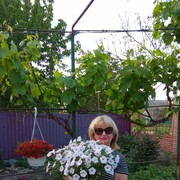  ,   Svetlana, 60 ,   ,   , c 