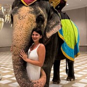 ���������� �������, ������