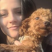 ���������� ������, �������