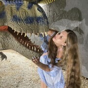  ,   , 31 ,   ,   , 