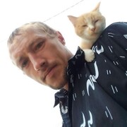 ���������� ������, ���� ������� ����, 38 ���, ������������ ��� ������, ����� � ���������, c�������� ���������, ���������