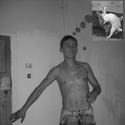  ,   , 33 ,   