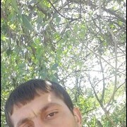 ,   , 37 ,   ,   