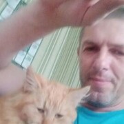  ,   , 41 ,     , c 