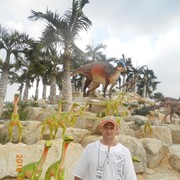  ,   , 50 ,   