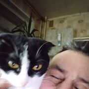  ,   , 52 ,   ,   