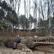 ���������� ������ ���