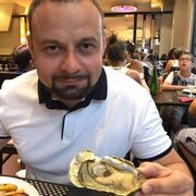 ���������� ������, ���� ������� Stefan, 44 ����, ������������ ��� ������, ����� � ���������, ���������