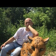  ,   , 43 ,   ,   , 