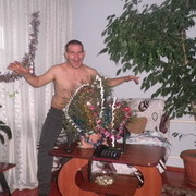  ,   , 42 ,   , 