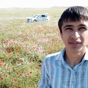 ���������� ������, ���� ������� ������, 38 ���, ������������ ��� ������, ����� � ���������, c�������� ���������, ���������