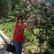  --,   , 65 ,  