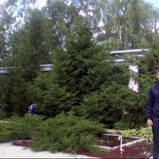 ���������� �����, ���� ������� ��������, 36 ���, ������������ ��� ������, ����� � ���������