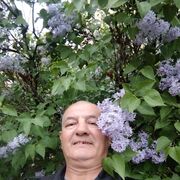 � ������ ������