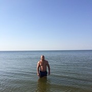  ,   Andreisidi, 43 ,   