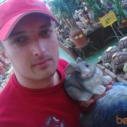 ���������� ����������, ���� ������� ���������, 41 ���, ������������ ��� ������, ����� � ���������, c�������� ���������