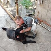  ,   Sergi, 53 ,  
