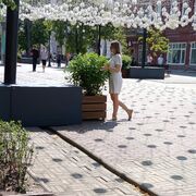 ���������� ������������, ���� ������� �����, 44 ����, ������������ ��� ������, ����� � ���������, c�������� ���������