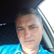  --,   , 49 ,   ,   