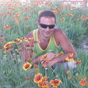  ,   , 42 ,   
