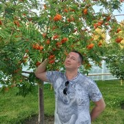 ���������� �����, ���� ������� �������, 40 ���, ������������ ��� ������, ����� � ���������, c�������� ���������, ���������