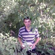  ,  Mihai, 37