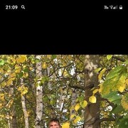 ���������� ������, ���� ������� ���������, 49 ���, ������������ ��� ������, ����� � ���������, c�������� ���������