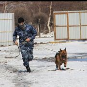 ���������� ������, ���� ������� Aysen, 34 ����, ������������ ��� ������, ����� � ���������