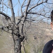  ,   Alik, 46 ,   ,   , 