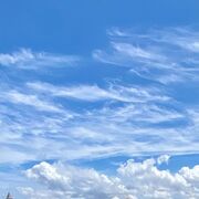 ���������� �����, ���� ������� ����, 40 ���, ������������ ��� ������, ����� � ���������