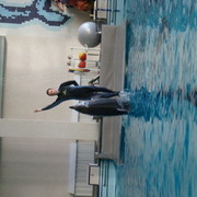 ���������� ������, ���� ������� �����, 47 ���, ������������ ��� ������, ����� � ���������, c�������� ���������