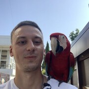 ���������� �����, ���� ������� ������, 30 ���, ������������ ��� ������, ����� � ���������