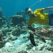 ���������� Nha Trang, ���� ������� �������, 49 ���, ������������ ��� ����� � ���������, c�������� ���������