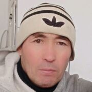 ,   Bauir, 49 ,   , c 