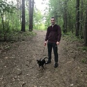 ���������� �����, ���� ������� ���������, 33 ����, ������������ ��� ������, ����� � ���������, c�������� ���������, ���������