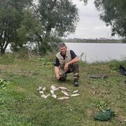  ,  , 41