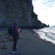 ���������� �������������-����������, ���� ������� ��������, 42 ����, ������������ ��� ����� � ���������, c�������� ���������, ���������