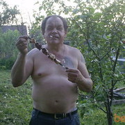  ,   , 65 ,  